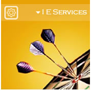 IE Services Button